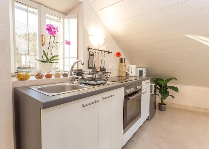 Lola - Zf Hvar Daire
